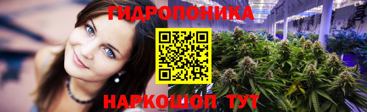 Канабис White Widow  Бошки марихуана конопля  Мыски  Вход с VPN  Каннабис VHQ 
